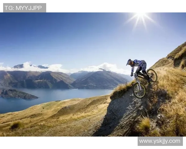 北京极限运动队协作能力深度对比与分析探讨